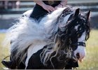 Pferd International 018